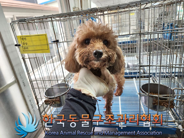 한국동물구조관리협회_411322202300339